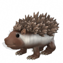 Hedgehog
