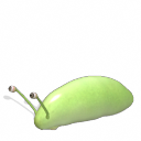 slug